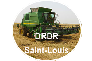 Logo DRDR SL