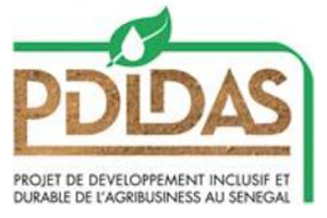 Logo PDIDAS