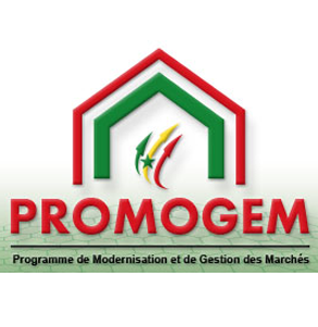 Logo Promogem